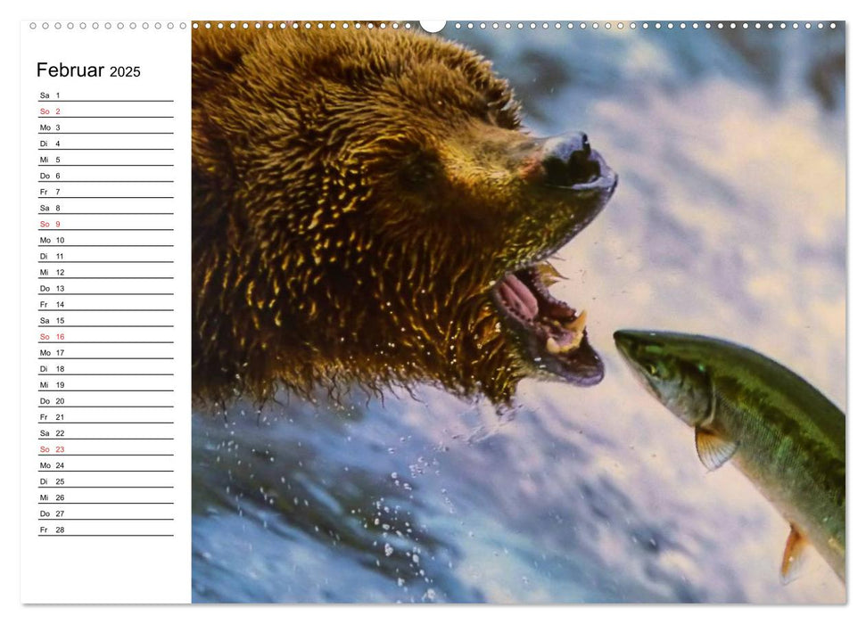 Alaska und Kanada (CALVENDO Premium Wandkalender 2025)