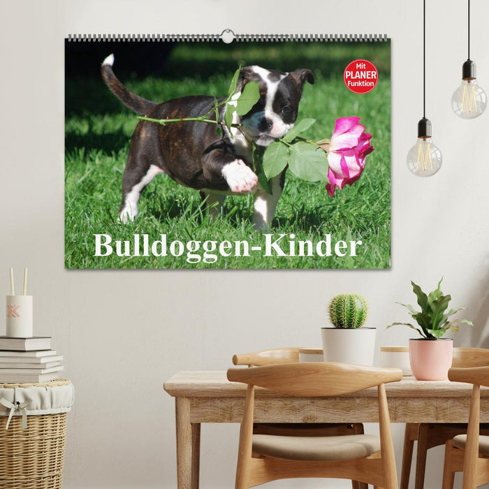 Bulldoggen-Kinder (CALVENDO Wandkalender 2025)