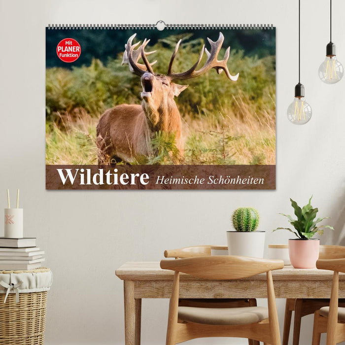 Wildtiere. Heimische Schönheiten (CALVENDO Wandkalender 2025)