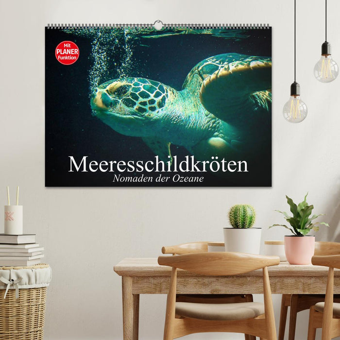 Meeresschildkröten. Nomaden der Ozeane (CALVENDO Wandkalender 2025)