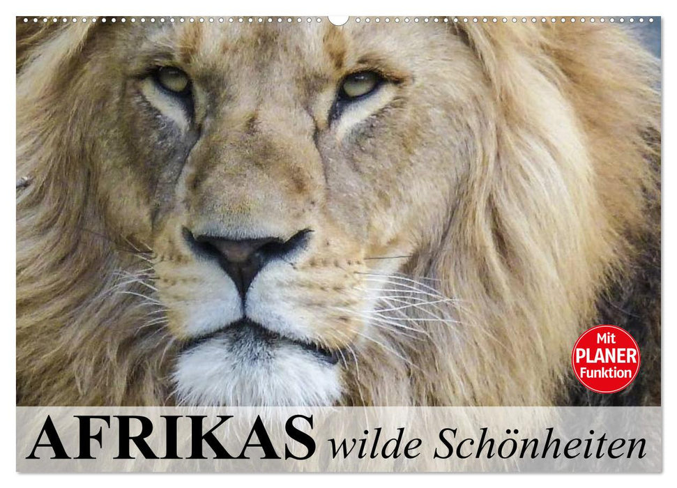 Afrikas wilde Schönheiten (CALVENDO Wandkalender 2025)