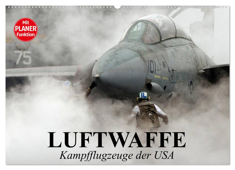 Luftwaffe. Kampfflugzeuge der USA (CALVENDO Wandkalender 2025)