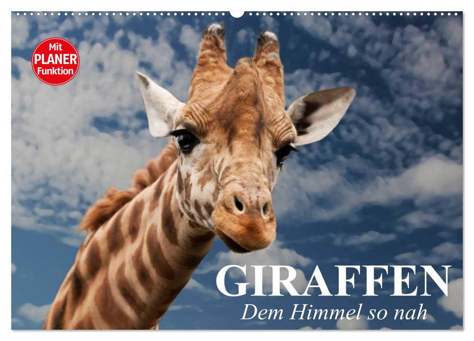 Giraffen. Dem Himmel so nah (CALVENDO Wandkalender 2025)