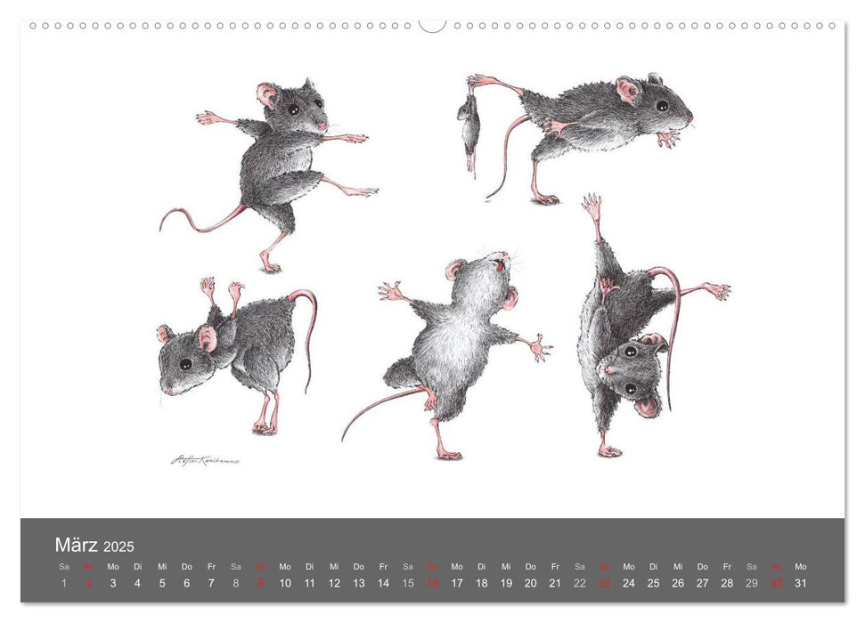 TIERONISCH (CALVENDO Premium Wandkalender 2025)