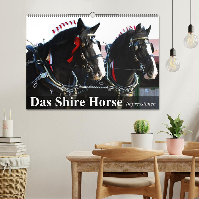 Das Shire Horse. Impressionen (CALVENDO Wandkalender 2025)