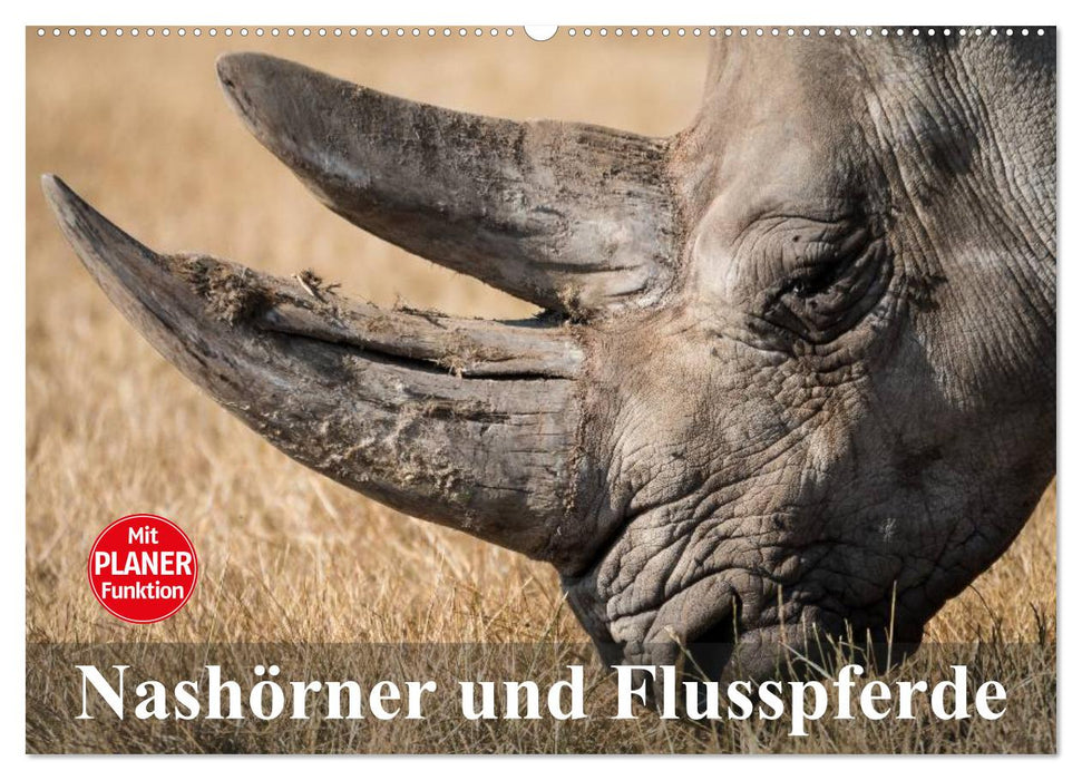 Nashörner und Flusspferde (CALVENDO Wandkalender 2025)