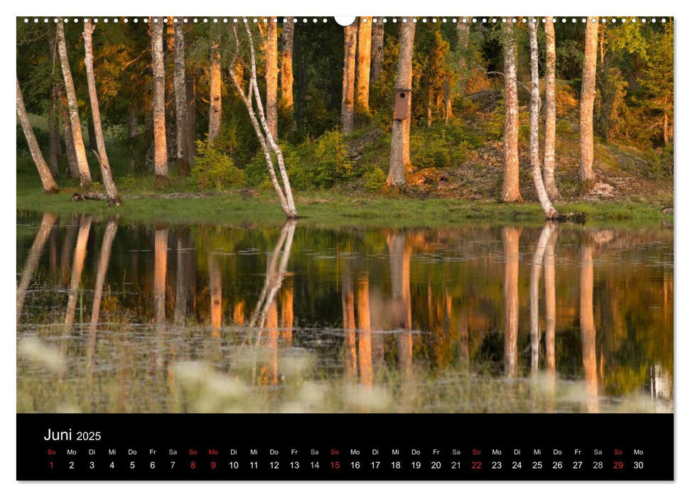 Schweden im Wechsel der Jahreszeiten (CALVENDO Wandkalender 2025)