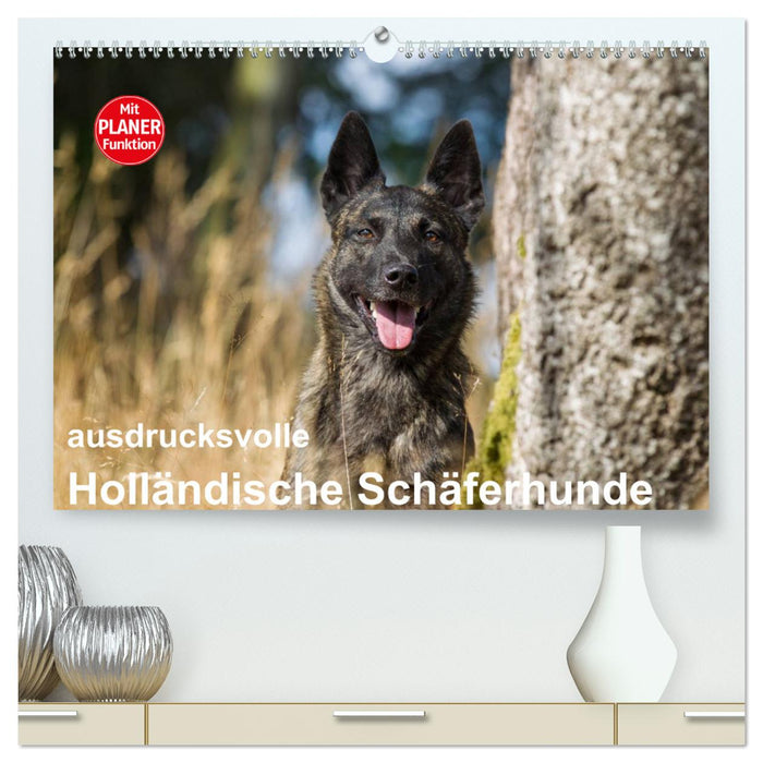 ausdrucksvolle Holländische Schäferhunde (CALVENDO Premium Wandkalender 2025)