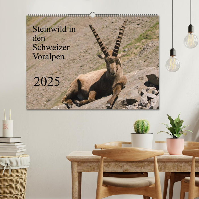 Steinwild in den Schweizer Voralpen (CALVENDO Wandkalender 2025)