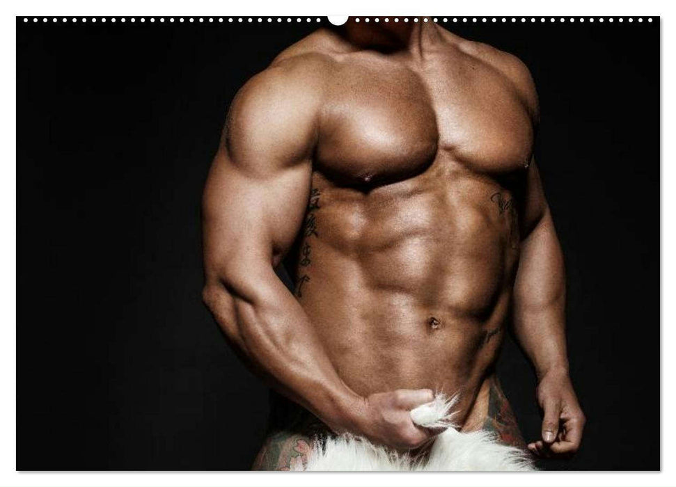 Erotische Männer. Adonis und Co. (CALVENDO Premium Wandkalender 2025)