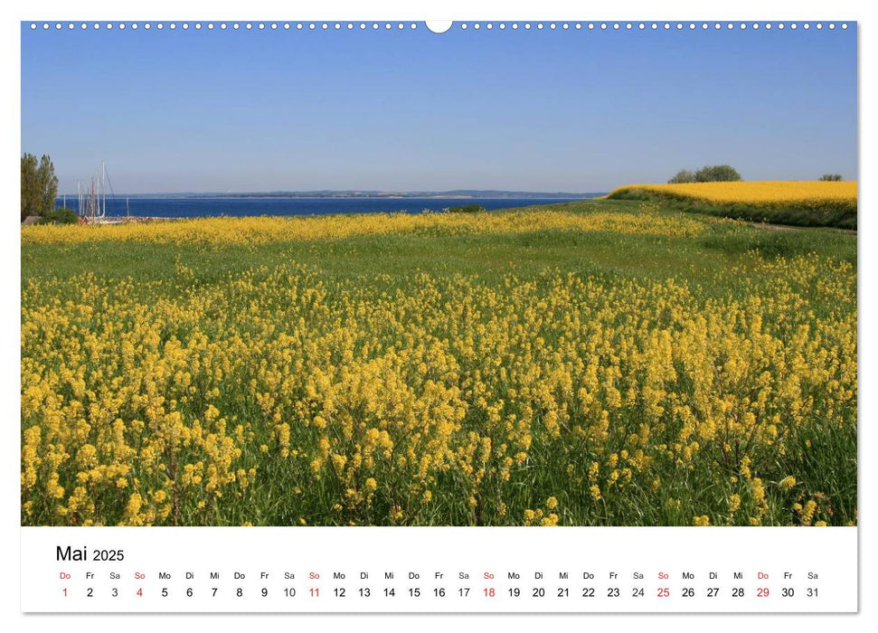 Insel Ærø - Perle der Dänischen Südsee (CALVENDO Premium Wandkalender 2025)