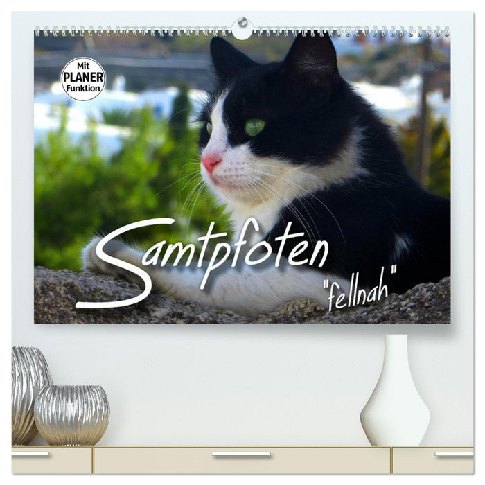 SAMTPFOTEN "fellnah" (CALVENDO Premium Wandkalender 2025)