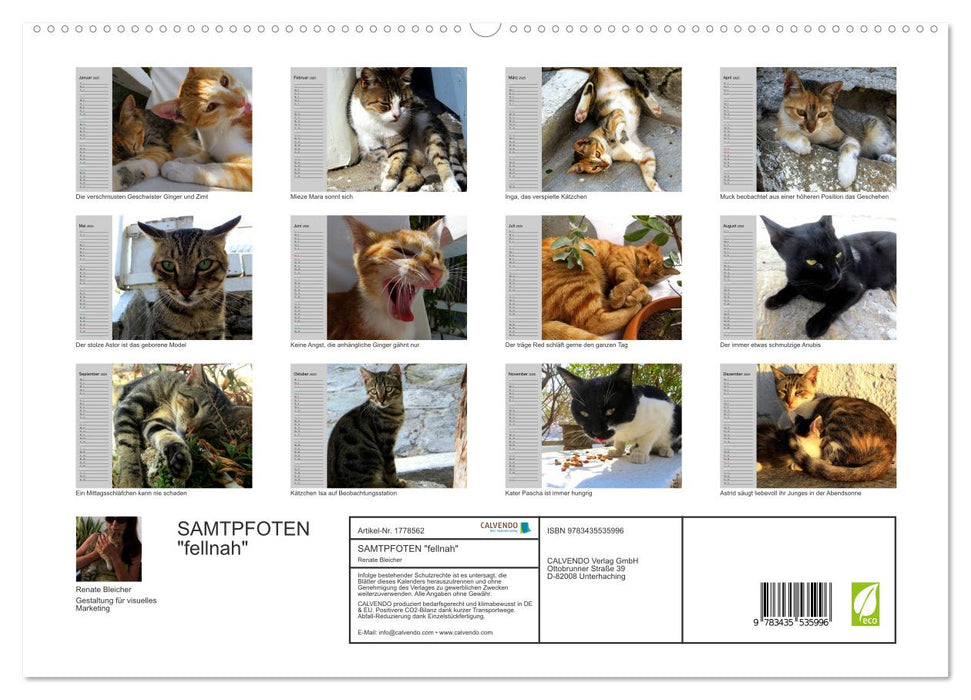 SAMTPFOTEN "fellnah" (CALVENDO Premium Wandkalender 2025)