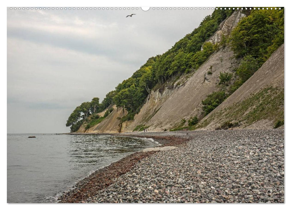 Urlaubsparadies Rügen (CALVENDO Wandkalender 2025)