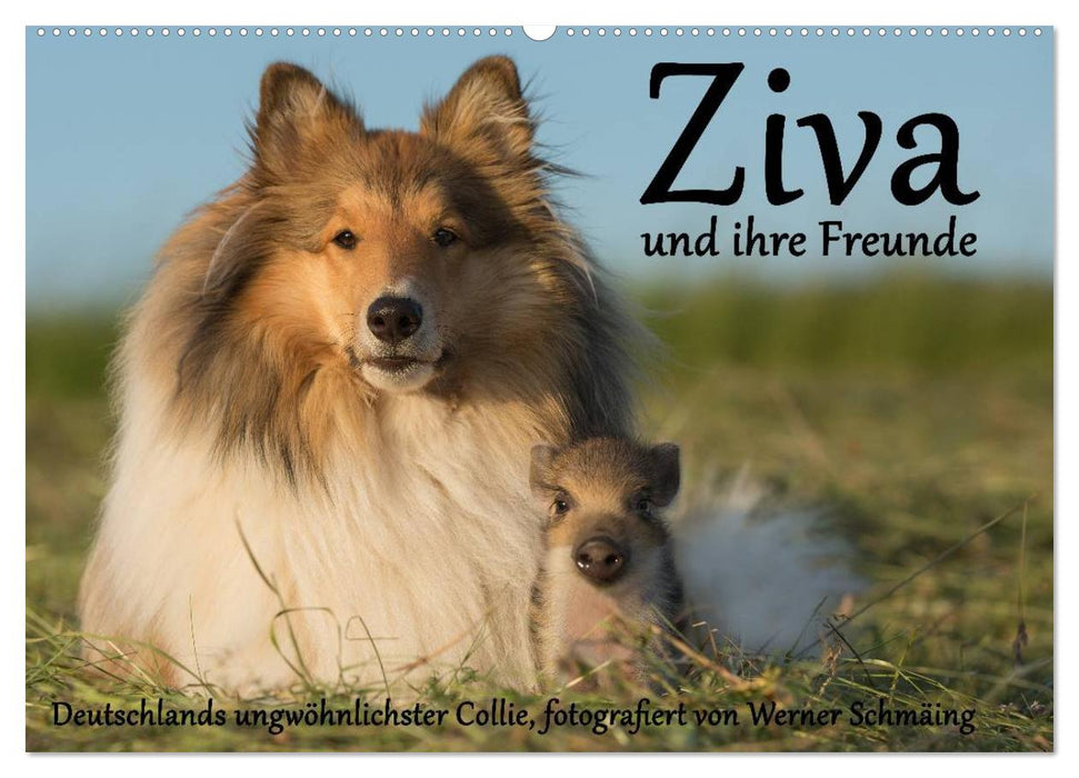 Ziva und ihre Freunde (CALVENDO Wandkalender 2025)