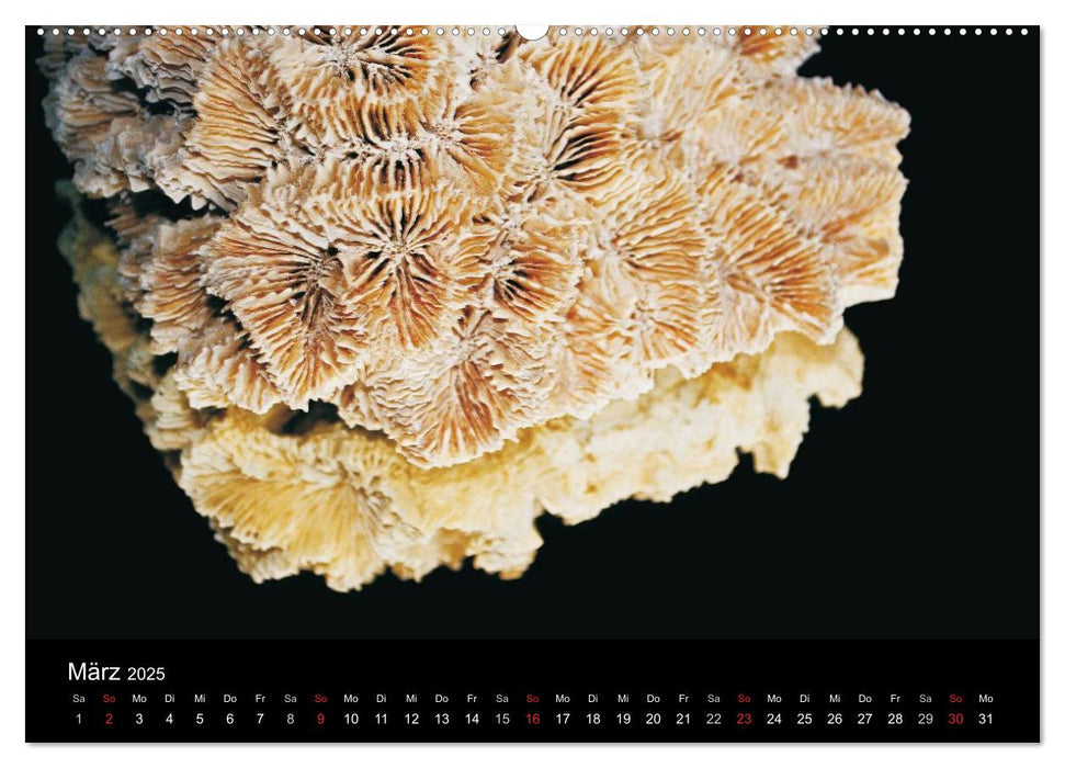 Edelsteine - Ansichten von Ulrike SSK (CALVENDO Premium Wandkalender 2025)