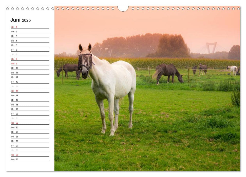 Meerbusch. Meerer Busch (CALVENDO Wandkalender 2025)