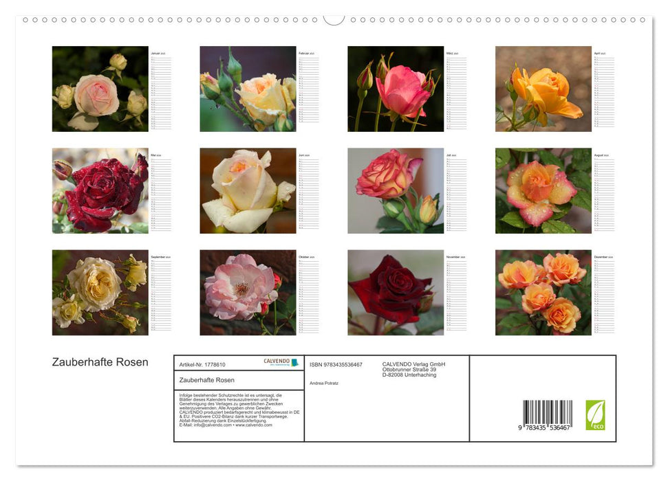 Zauberhafte Rosen (CALVENDO Premium Wandkalender 2025)