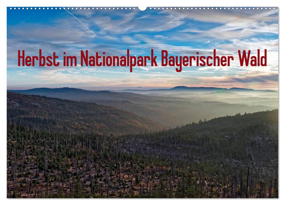 Herbst im Nationalpark Bayerischer Wald (CALVENDO Wandkalender 2025)