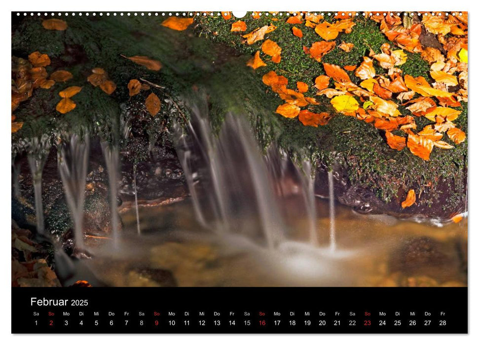 Herbst im Nationalpark Bayerischer Wald (CALVENDO Wandkalender 2025)