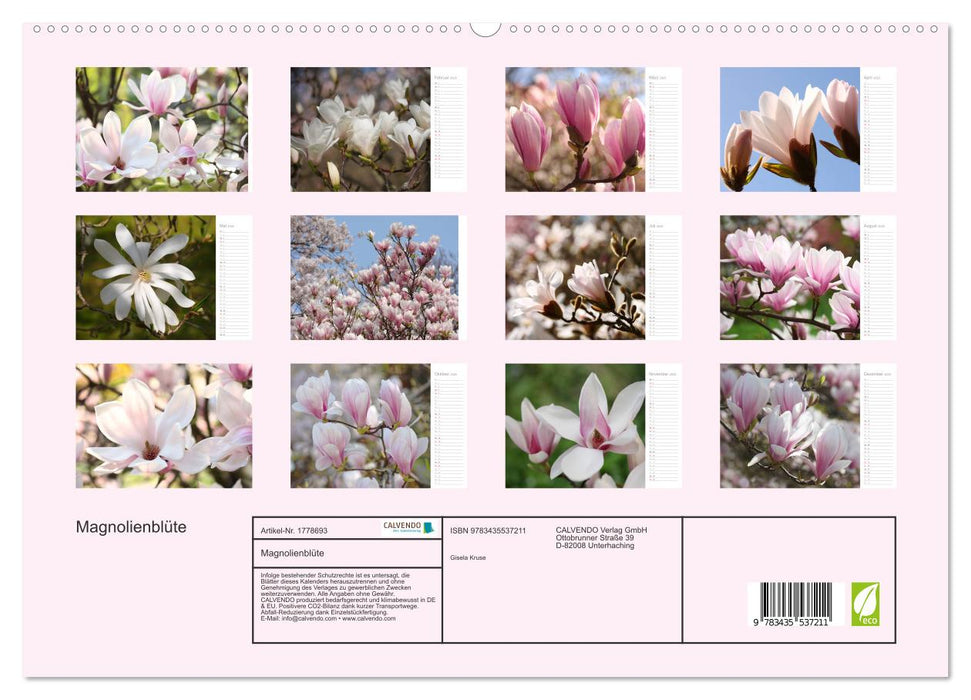 Magnolienblüte (CALVENDO Premium Wandkalender 2025)