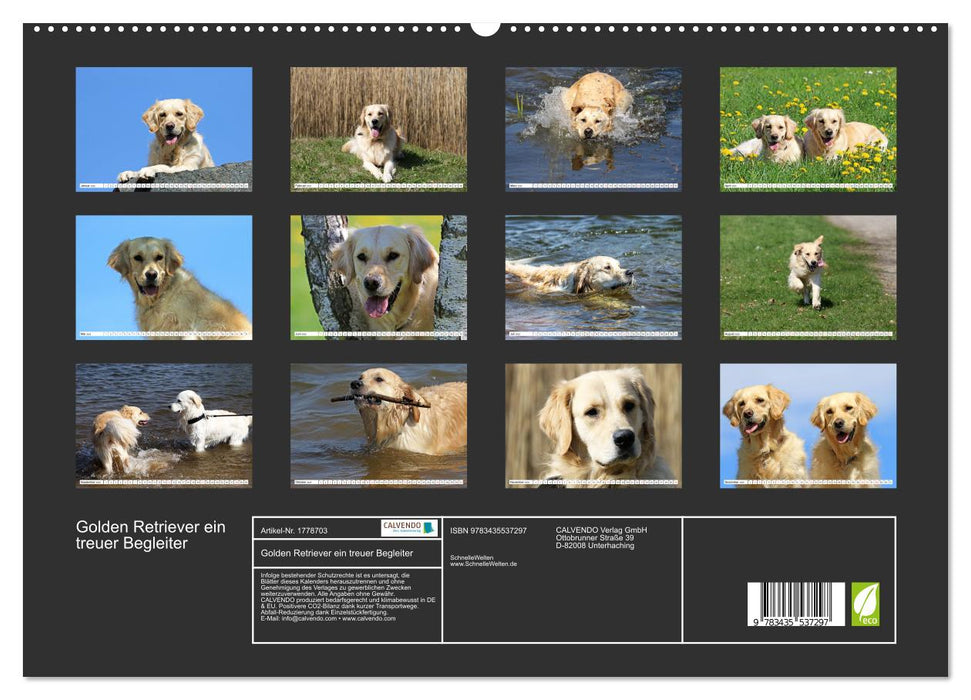 Golden Retriever ein treuer Begleiter (CALVENDO Premium Wandkalender 2025)