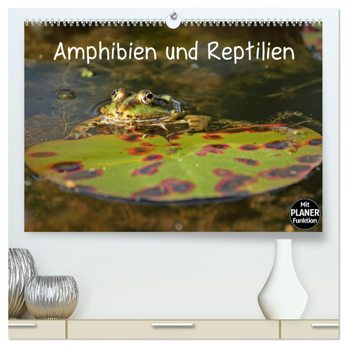 Amphibien und Reptilien (CALVENDO Premium Wandkalender 2025)