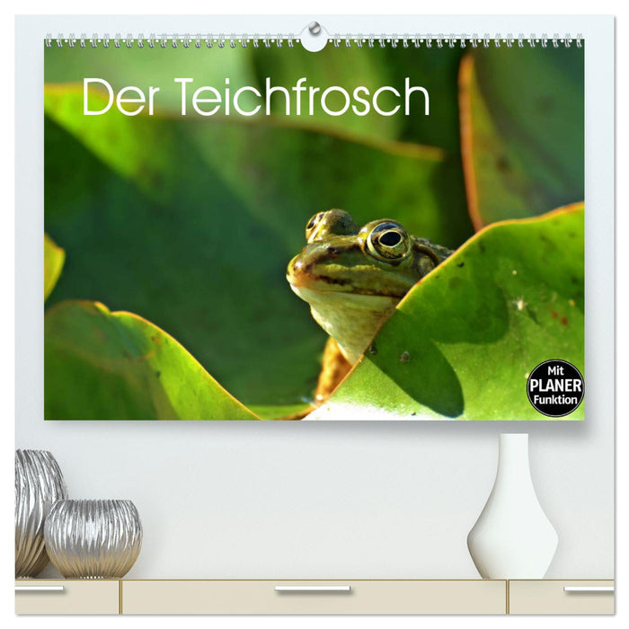 Der Teichfrosch (CALVENDO Premium Wandkalender 2025)