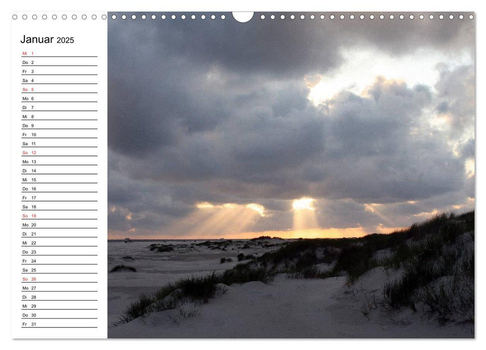 Urlaub auf der Insel Amrum (CALVENDO Wandkalender 2025)