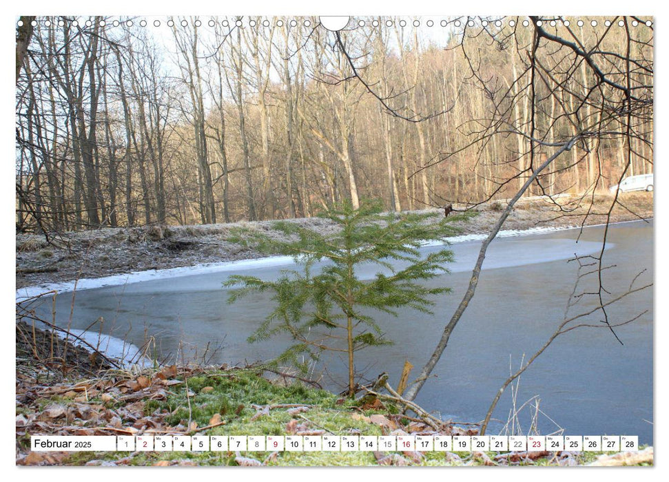 Impressionen aus dem Kellerwald (CALVENDO Wandkalender 2025)