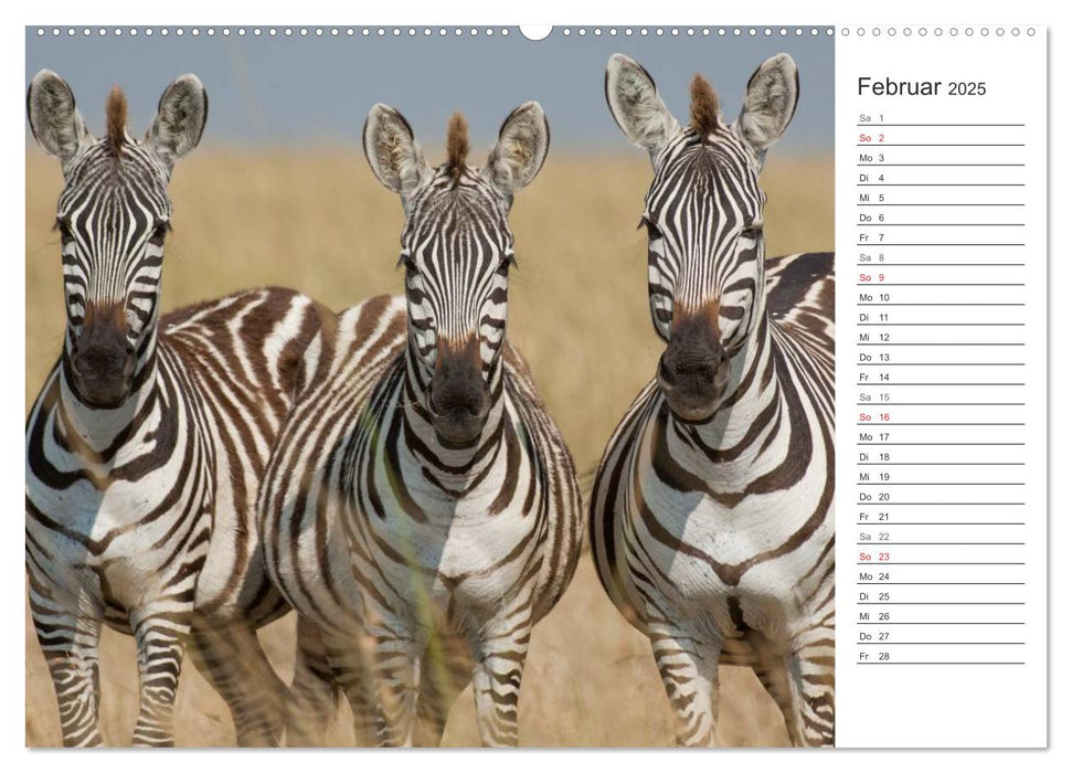 Emotionale Momente: Afrika Wildlife. Part 3. (CALVENDO Premium Wandkalender 2025)