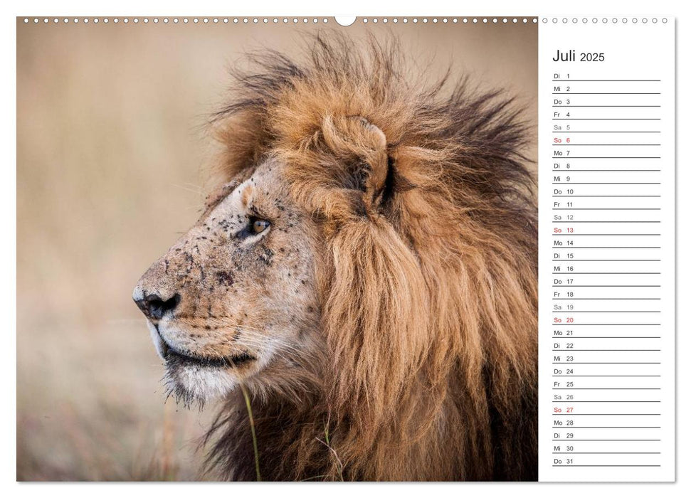 Emotionale Momente: Afrika Wildlife. Part 3. (CALVENDO Premium Wandkalender 2025)