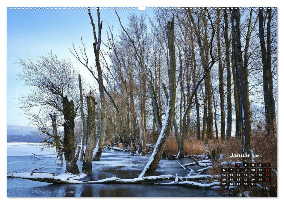 Spaziergang an der Donau (CALVENDO Premium Wandkalender 2025)