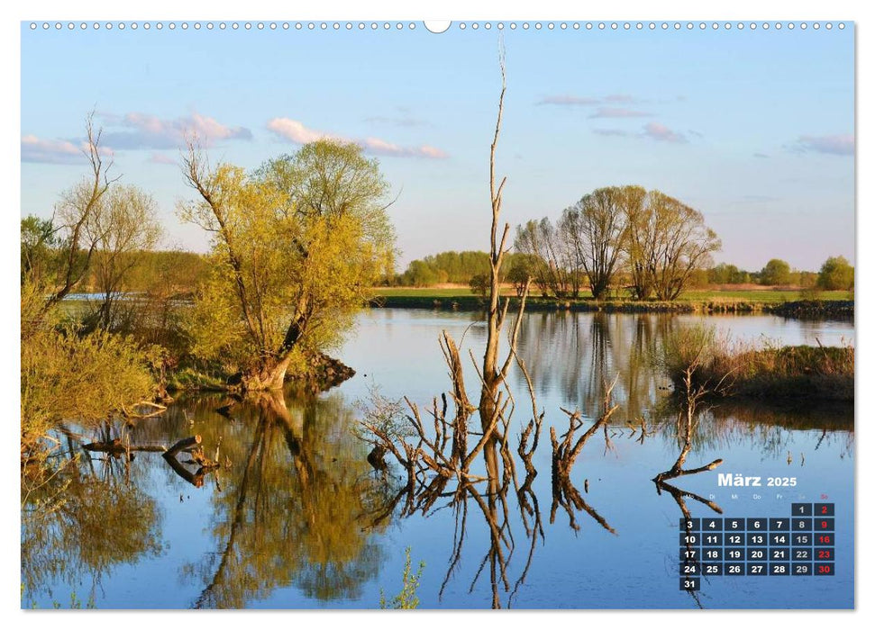 Spaziergang an der Donau (CALVENDO Premium Wandkalender 2025)