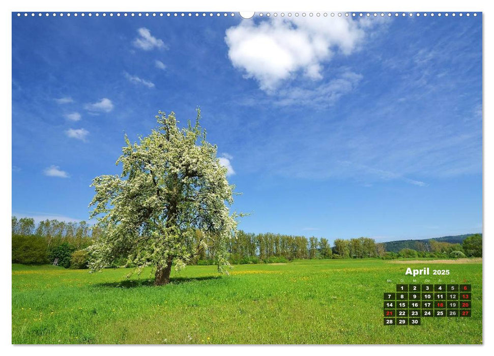 Spaziergang an der Donau (CALVENDO Premium Wandkalender 2025)