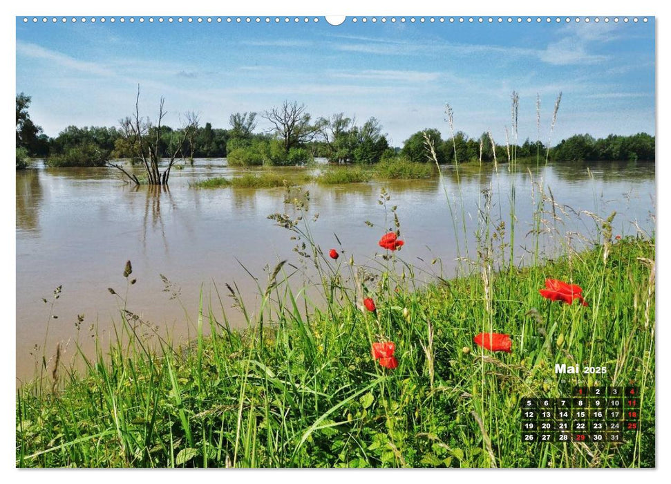 Spaziergang an der Donau (CALVENDO Premium Wandkalender 2025)