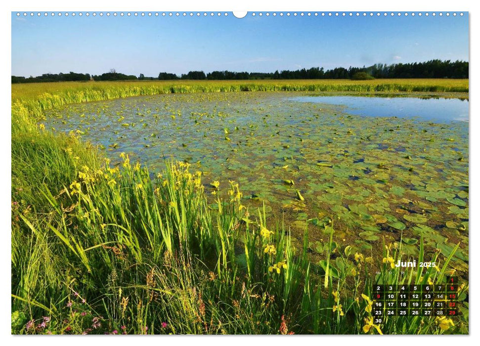 Spaziergang an der Donau (CALVENDO Premium Wandkalender 2025)