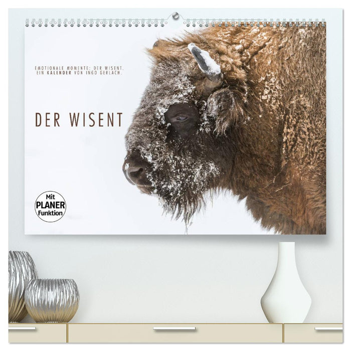 Emotionale Momente: Der Wisent. (CALVENDO Premium Wandkalender 2025)