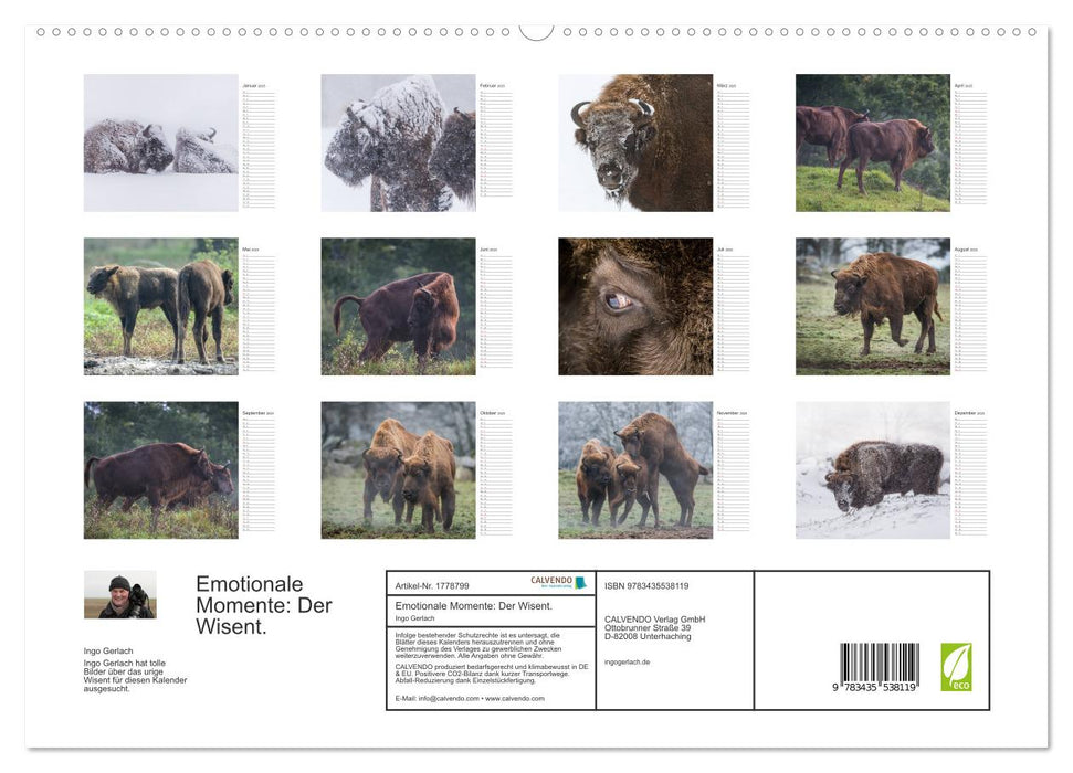 Emotionale Momente: Der Wisent. (CALVENDO Premium Wandkalender 2025)