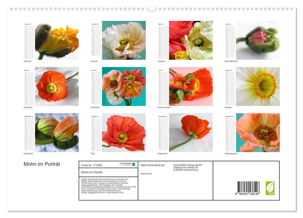 Mohn im Porträt (CALVENDO Premium Wandkalender 2025)