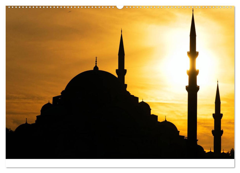 Istanbul Einmalig (CALVENDO Premium Wandkalender 2025)