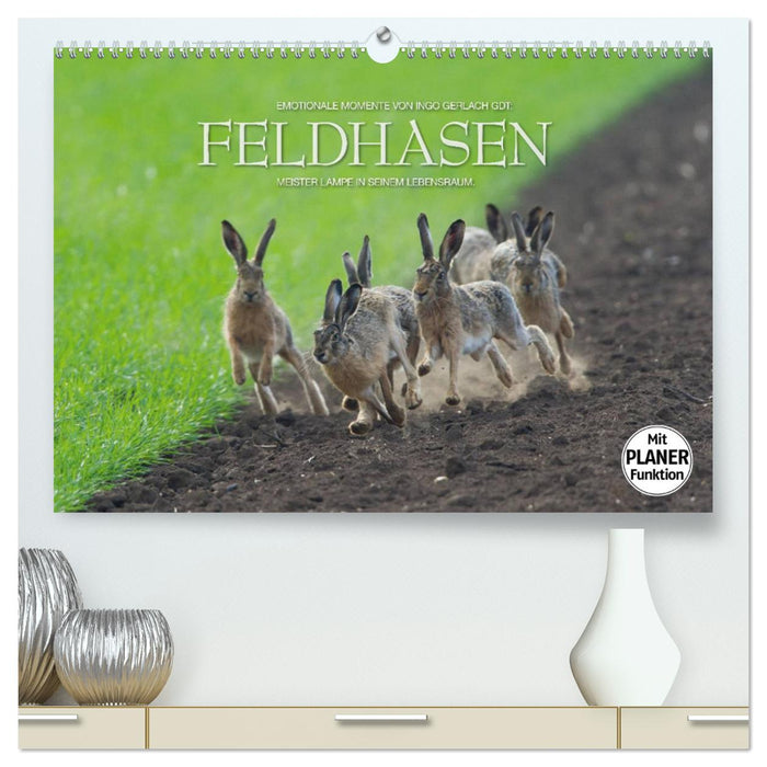 Emotionale Momente: Feldhasen (CALVENDO Premium Wandkalender 2025)