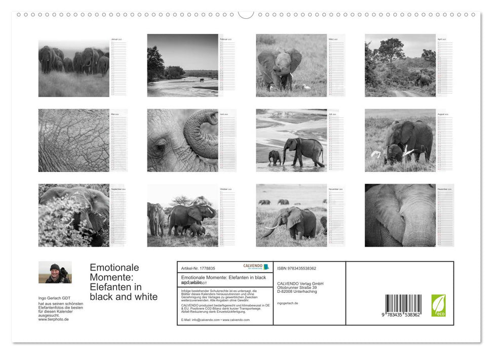 Emotionale Momente: Elefanten in black and white (CALVENDO Premium Wandkalender 2025)