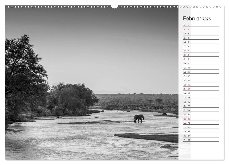 Emotionale Momente: Elefanten in black and white (CALVENDO Premium Wandkalender 2025)