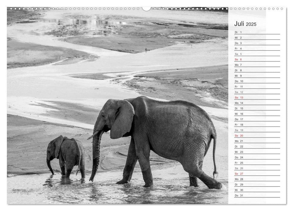 Emotionale Momente: Elefanten in black and white (CALVENDO Premium Wandkalender 2025)