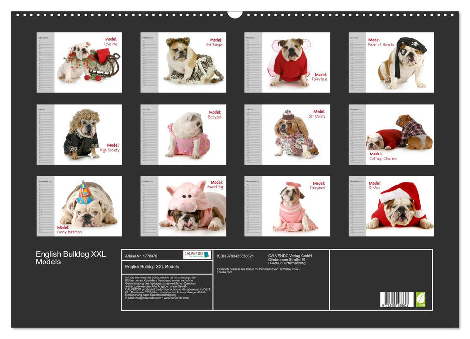 English Bulldog XXL Models (CALVENDO Wandkalender 2025)