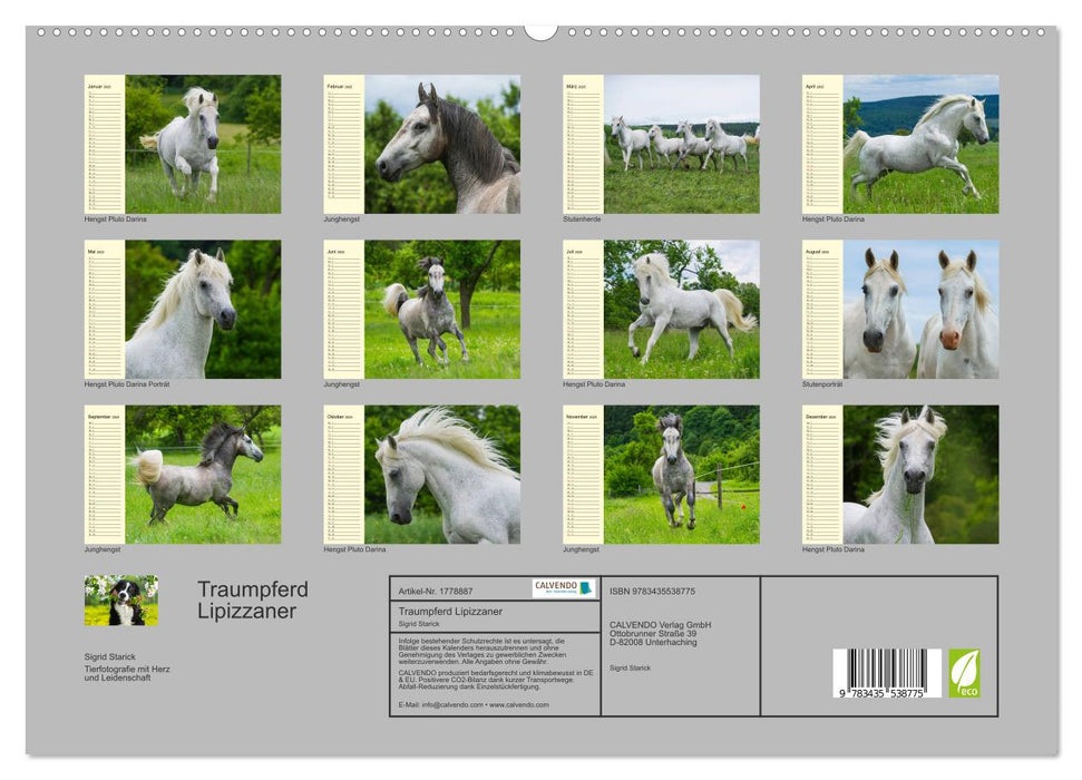 Traumpferd Lipizzaner (CALVENDO Premium Wandkalender 2025)