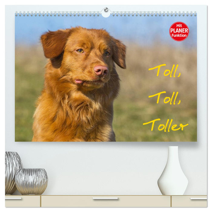 Toll, toll, Toller (CALVENDO Premium Wandkalender 2025)