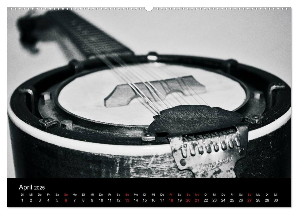 Meine Saiten Ansichten - Banjo, Gitarre, Klavier, Ukulele und Zitter von Ulrike SSK (CALVENDO Wandkalender 2025)