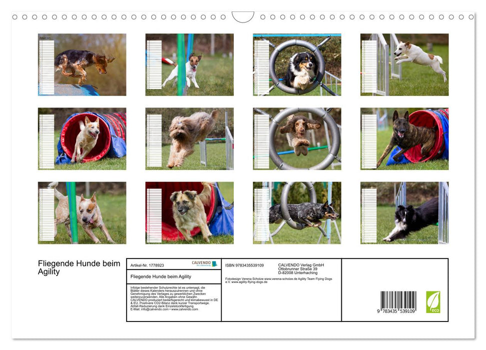 Fliegende Hunde beim Agility (CALVENDO Wandkalender 2025)